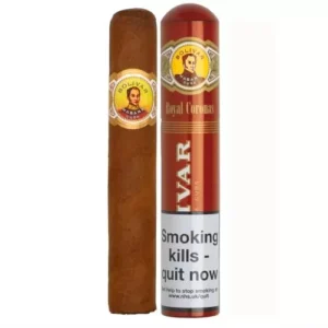 Buy Bolivar Royal Corona Tubed Cigar 1 Single UK