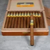 Cohiba Exquisitos Cigar - Box of 25 - Image 3