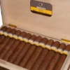 Cohiba Maduro 5 Genios Cigar - Box of 25 - Image 3