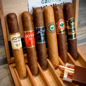 Buy Joya de Nicaragua Robusto 6 Cigars London