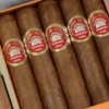 H. Upmann Half Corona Cigar - Tin of 5 - Image 4
