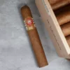 H. Upmann Connoisseur A Cigar - 1 Single - Image 4