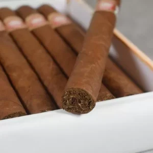 How can I buy H. Upmann Majestic Cigar 1 Single in the UK