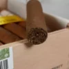 Hoyo de Monterrey Epicure Especial Cigar - 1 Single - Image 3