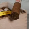 Hoyo de Monterrey Petit Robusto Cigar - 1 Single - Image 4
