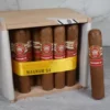 H. Upmann Magnum 54 Cigar - Cabinet of 25 - Image 3