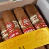 H. Upmann Magnum 54 Cigar - Cabinet of 25 - Image 2