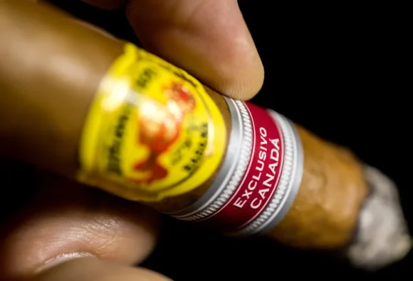 Buy Diplomáticos Norteños Cigar