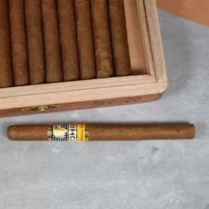 Buy Cohiba Panetelas Cigar – 1 Single online in South East England