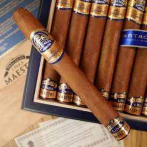 Partagas Linea Maestra Origen Cigar - 1 Single